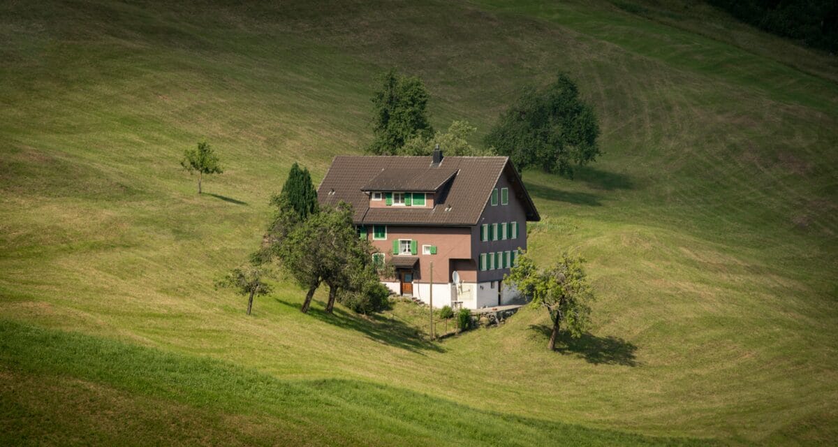 How Does a Septic System Work? A Beginner's Guide for Hill Country Homeowners