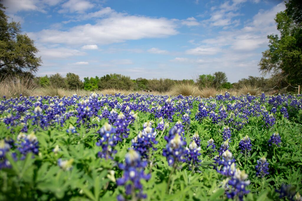 Hill Country septic county contacts Texas