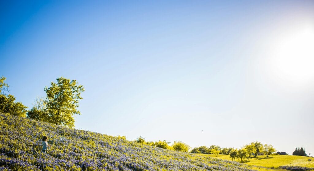 aerobic vs conventional septic system in Texas
