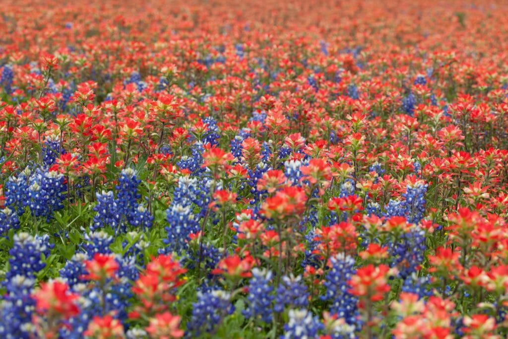 TCEQ septic permit in Texas TCEQ septic permit in Texas