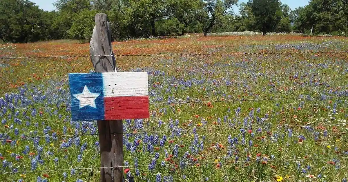 county septic rules in texas with wildflowers and texas sign in background