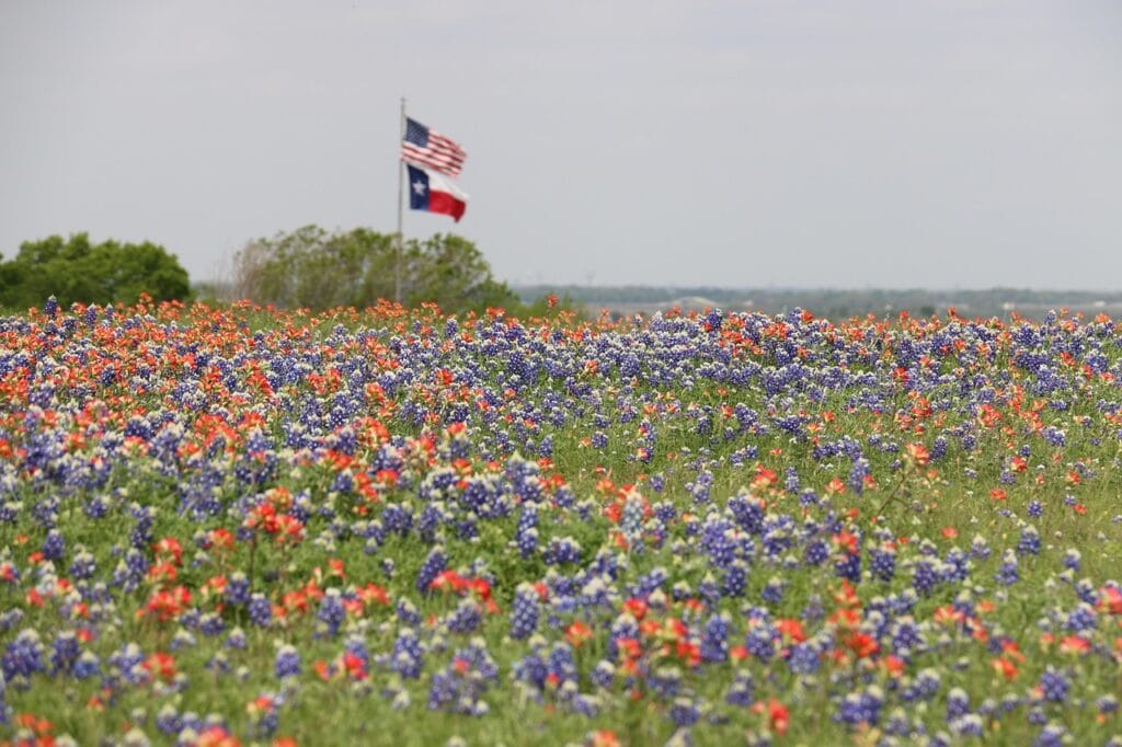 septic system guide in Texas