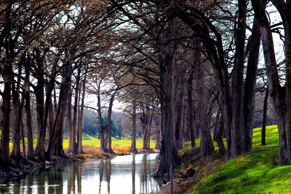 septic system setback requirements in Texas