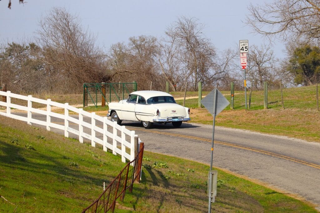 green grass over septic system in Texas green grass over septic system in Texas