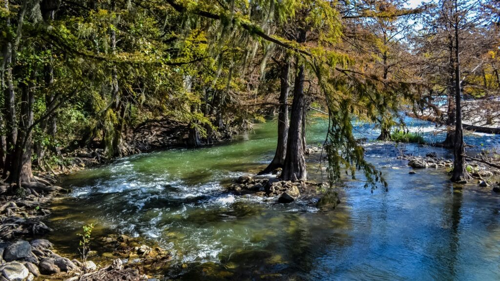 how heavy rain affects your septic system in Texas
